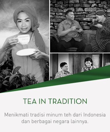 home-teaintradition-gss-18-ina